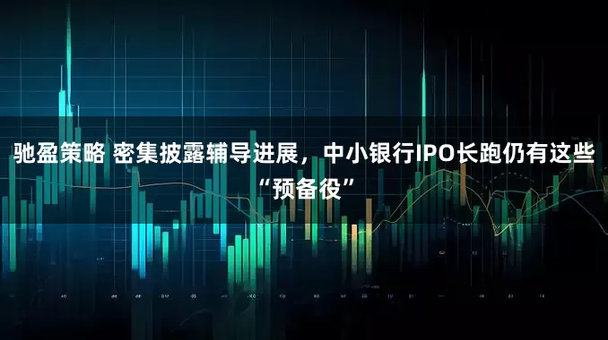 驰盈策略 密集披露辅导进展，中小银行IPO长跑仍有这些“预备役”
